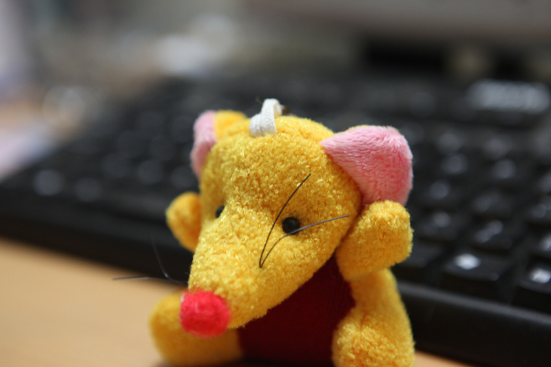 我的EOS5D Mark II