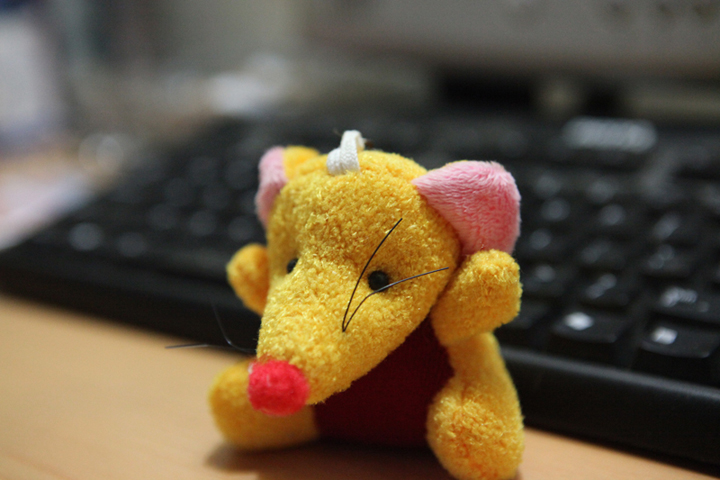 我的EOS5D Mark II