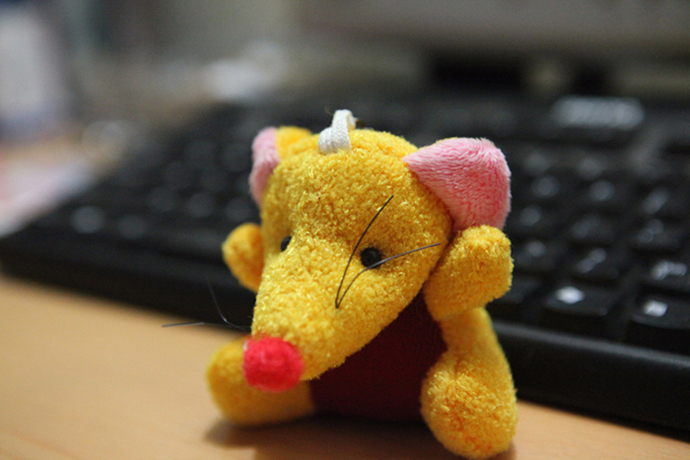 我的EOS5D Mark II
