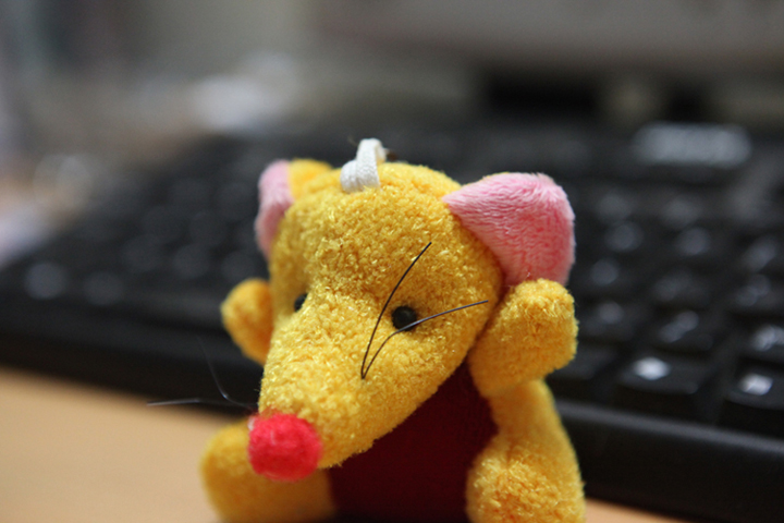 我的EOS5D Mark II