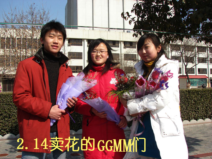 玫瑰，在今天绽放