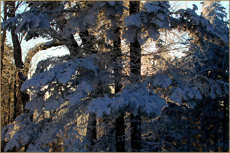 雪乡行