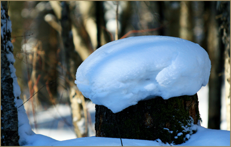 雪乡行