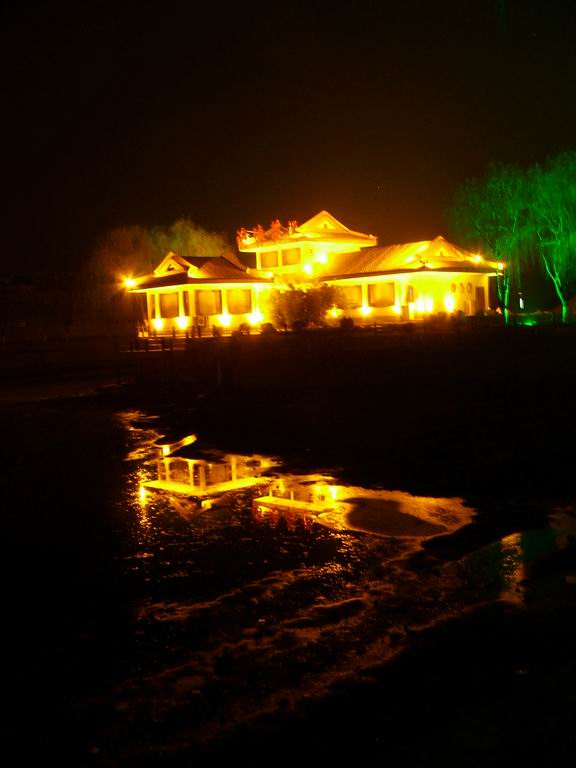 油城夜色春意浓