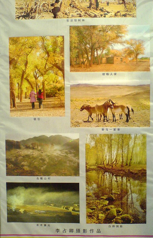 濮阳市摄影艺术展已于正月初六开始在二号路市政府门口展
