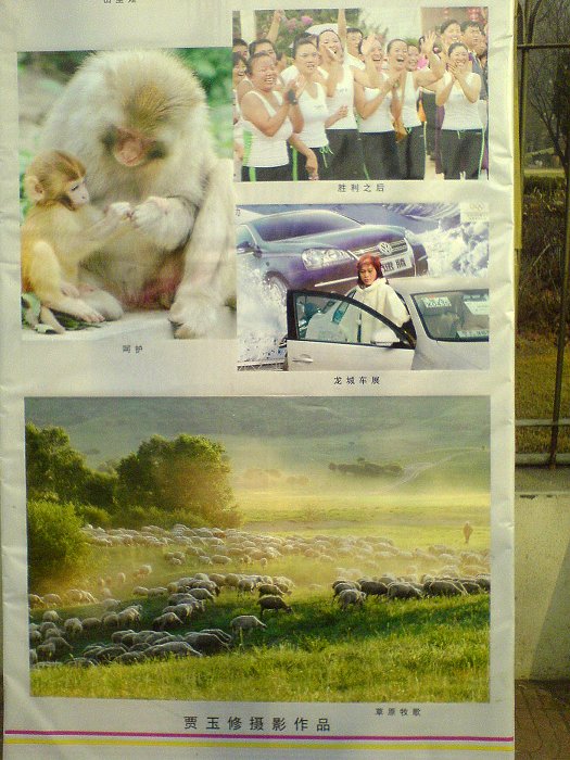 濮阳市摄影艺术展已于正月初六开始在二号路市政府门口展
