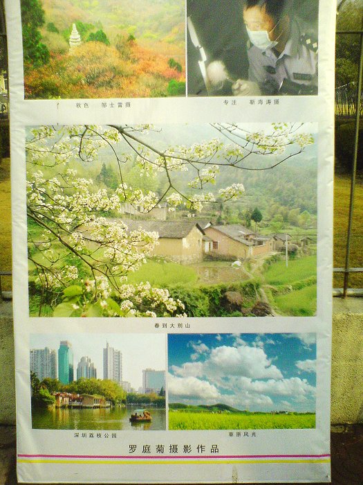 濮阳市摄影艺术展已于正月初六开始在二号路市政府门口展