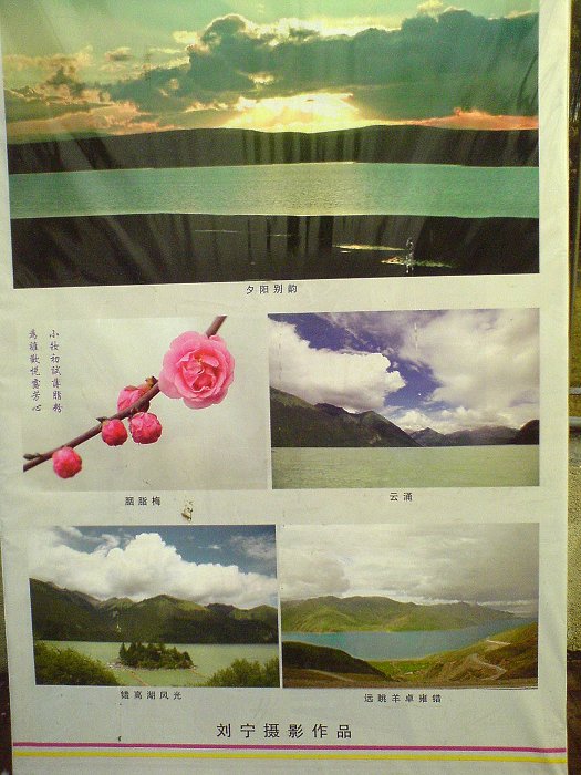 濮阳市摄影艺术展已于正月初六开始在二号路市政府门口展