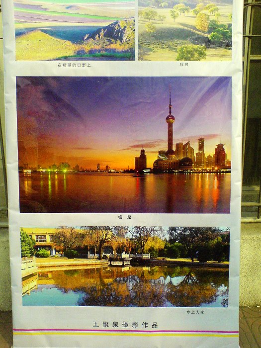 濮阳市摄影艺术展已于正月初六开始在二号路市政府门口展