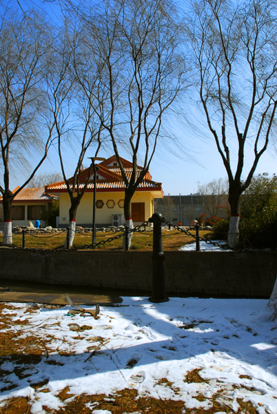 油城早春图