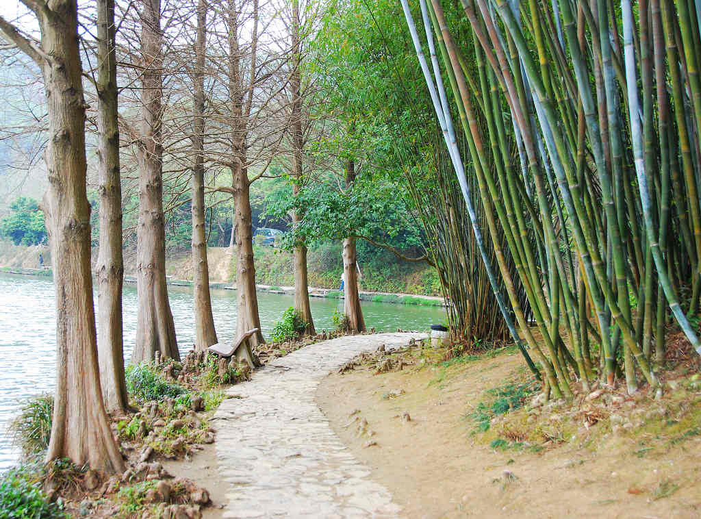 对比