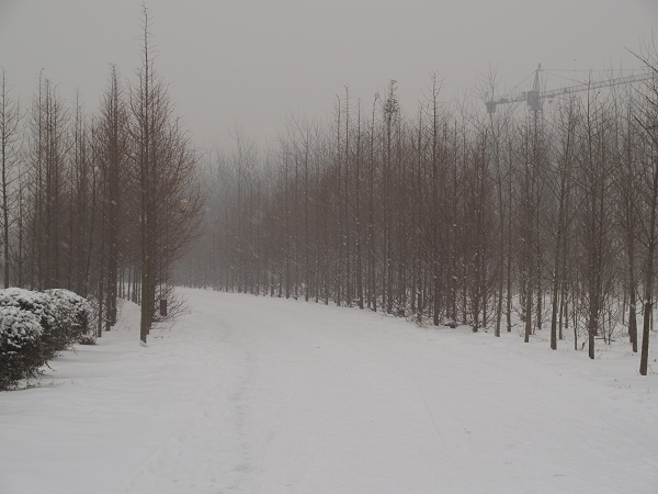 雪景一组练习