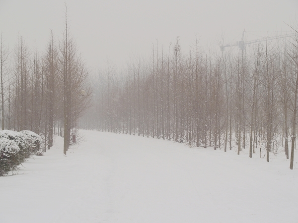 雪景一组练习