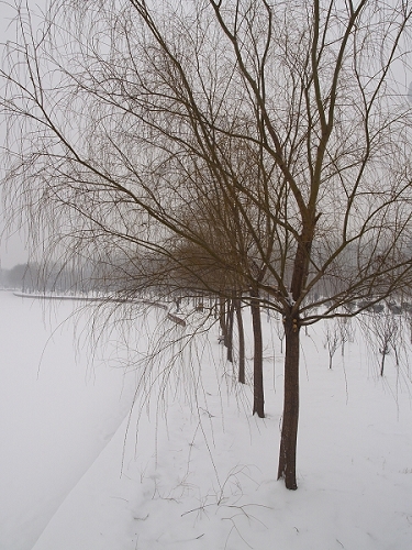 雪景一组练习