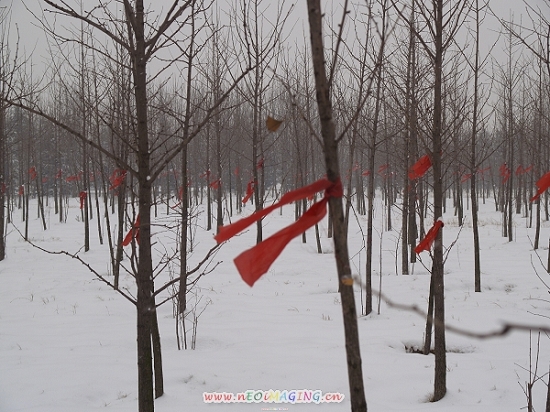雪景一组练习