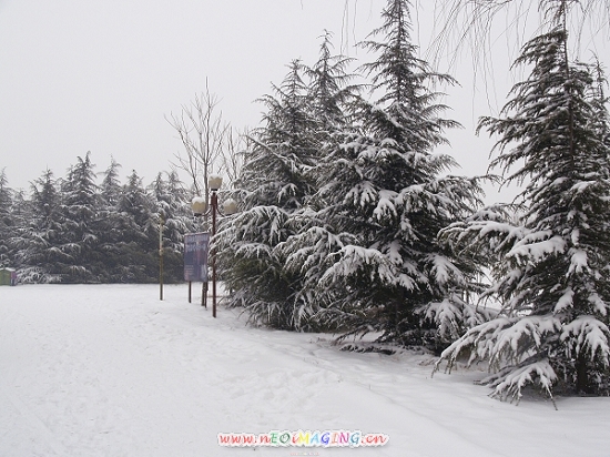 雪景一组练习