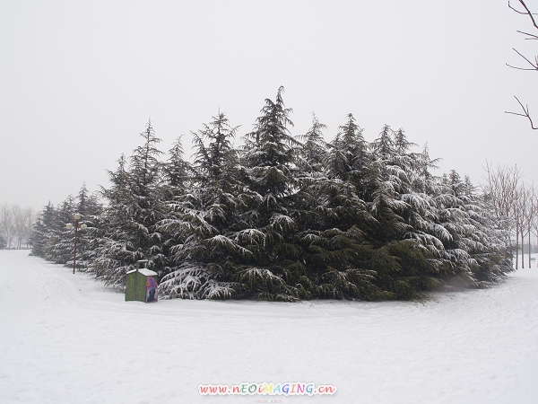 雪景一组练习