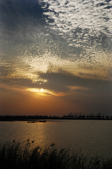 黄河夕照