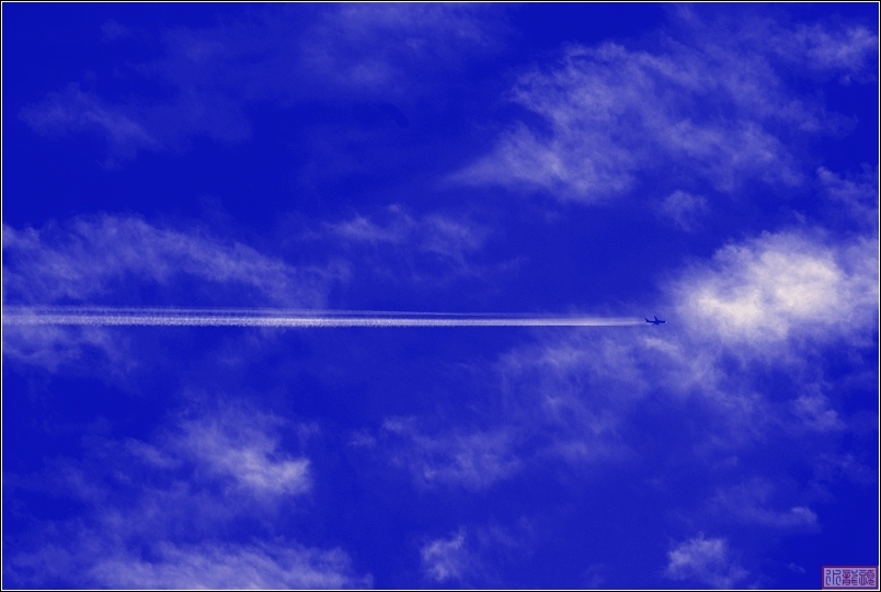 鹰击长空