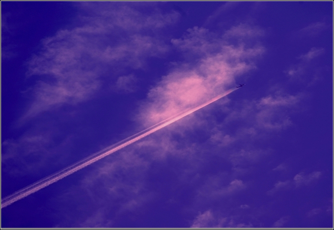 鹰击长空