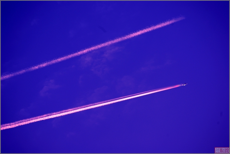 鹰击长空