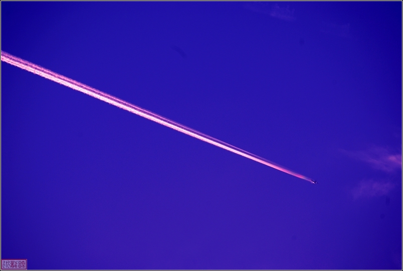 鹰击长空