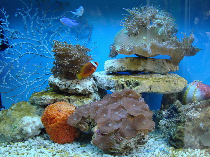 海底世界