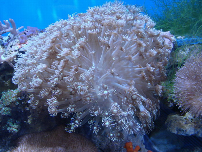 海底世界
