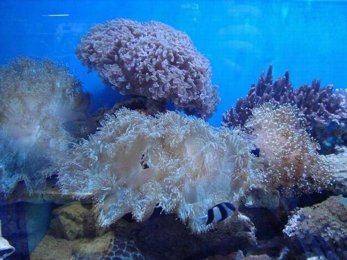 海底世界