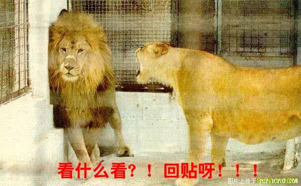 搞笑贴全集