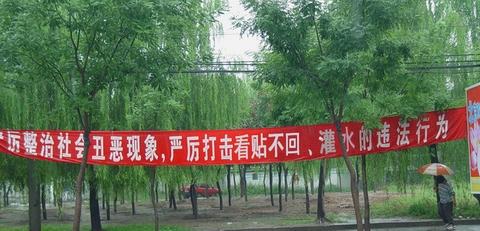 搞笑贴全集