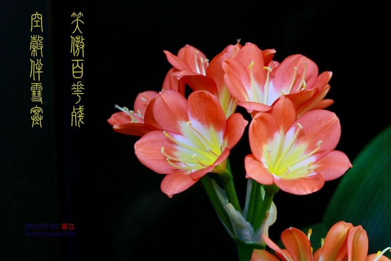 春的生息