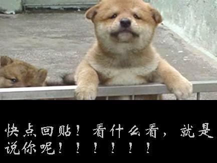 搞笑贴全集