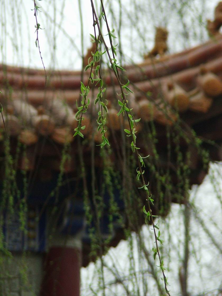早春