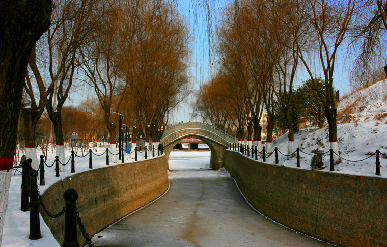新蕾公园冬景