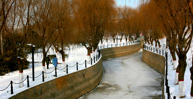 新蕾公园冬景