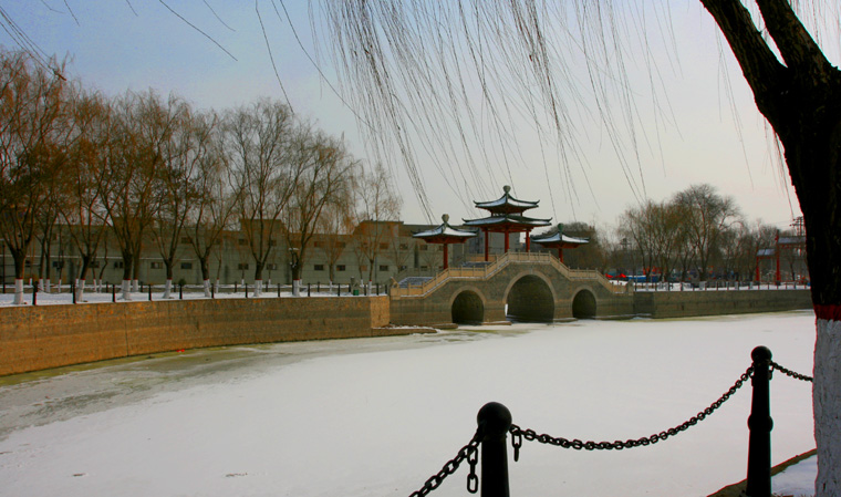 新蕾公园冬景