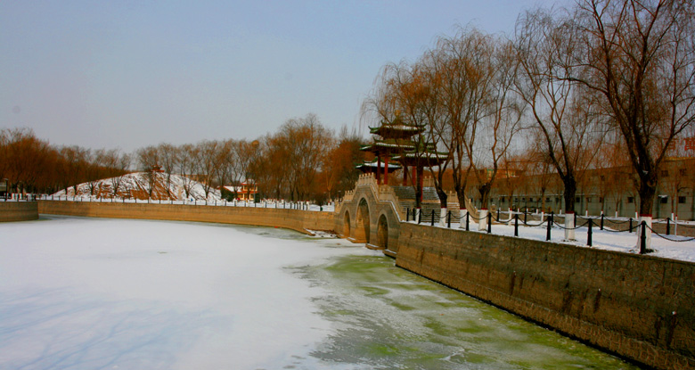 新蕾公园冬景