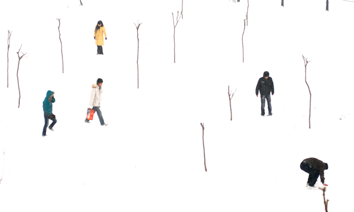 《雪中情》