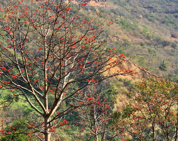 悠悠红河水