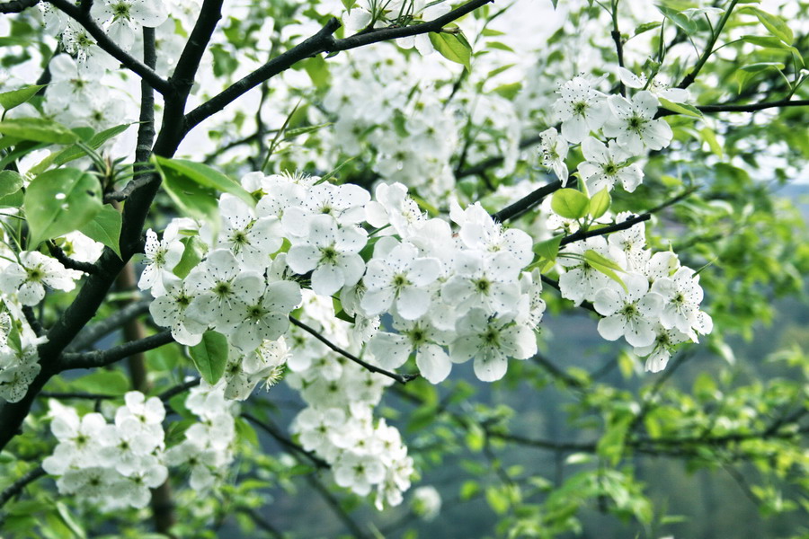 走..进山去