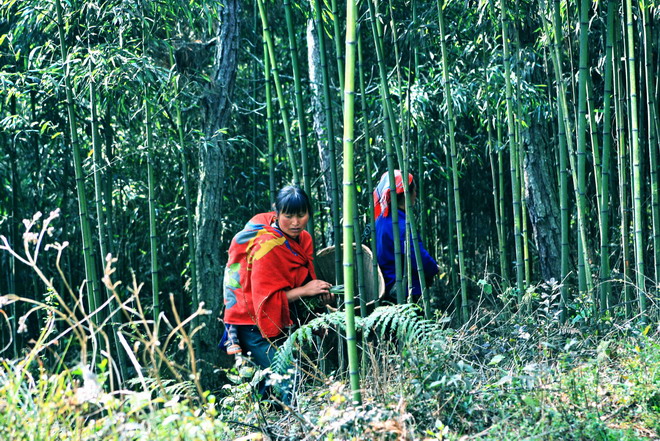 走..进山去