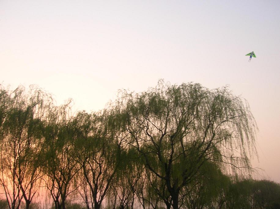 夕阳余辉