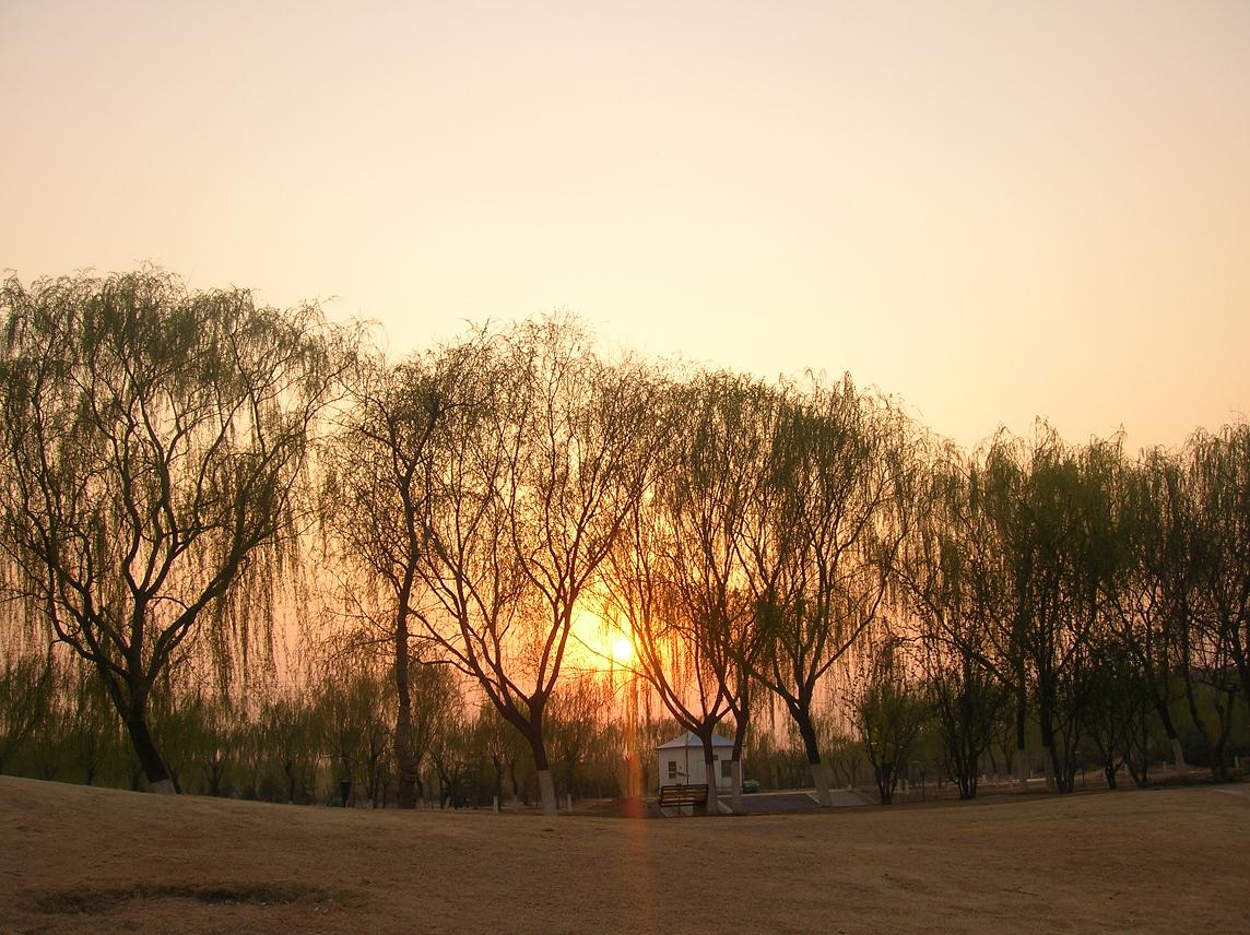 夕阳余辉