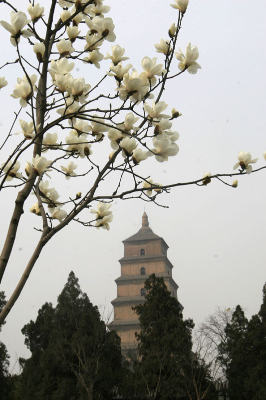西安大雁塔