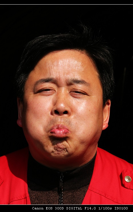 春暖花开走婺源花絮