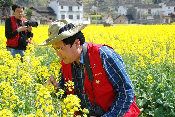 春暖花开走婺源花絮