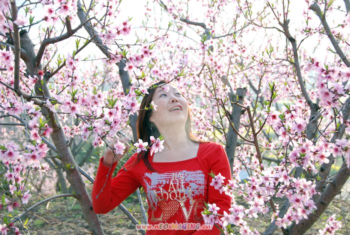 春暖花开走婺源花絮