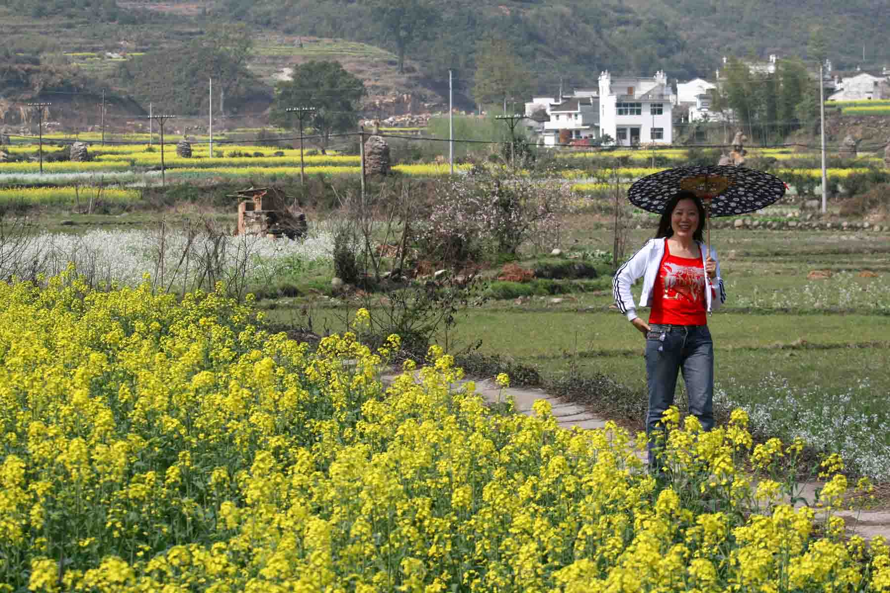春暖花开走婺源花絮