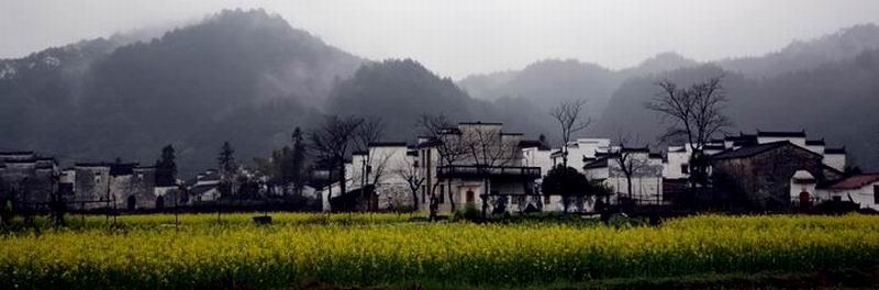 水墨徵居